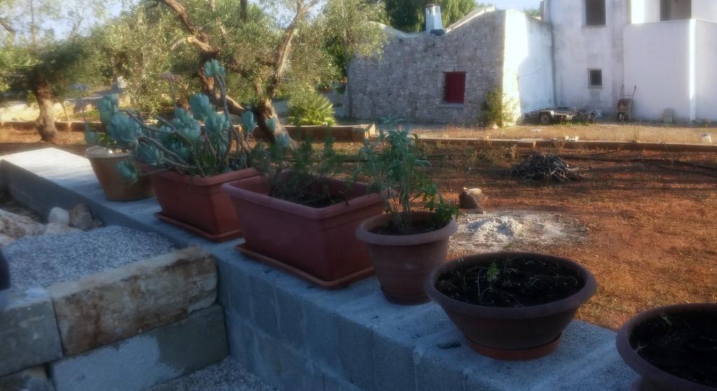 Villa "Posto Cantoro" マリーナ・ディ・ペスコルーゼ 部屋 写真